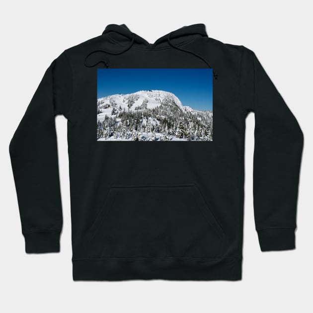 Top of Mt Washington Hoodie by charlesk